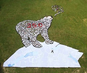 ours 350 earth aerial art sensibilisation-prevention.fr